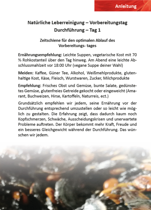 Schriftliche Anleitung (Booklet) zur Leber- und Gallenblasenreinigung