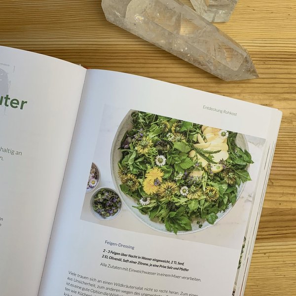 Roh vegan - Eine neue Welt des Essens / Praxishandbuch von Ulrike Eder