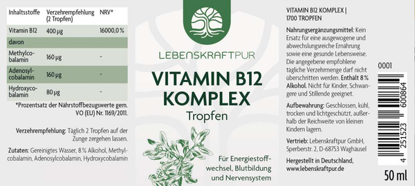 Lebenskraft Pur Vitamin B12 Komplex-Für Energiestoffwechsel, Blutbildung & Nervensystem 50ml